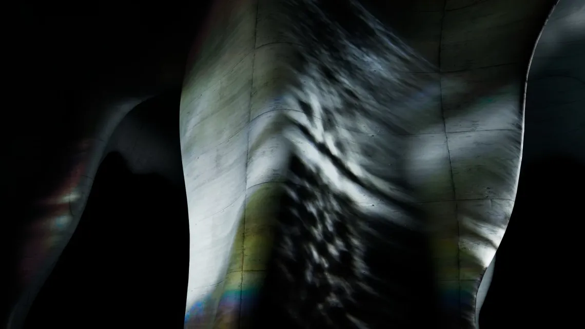 Light Explorations